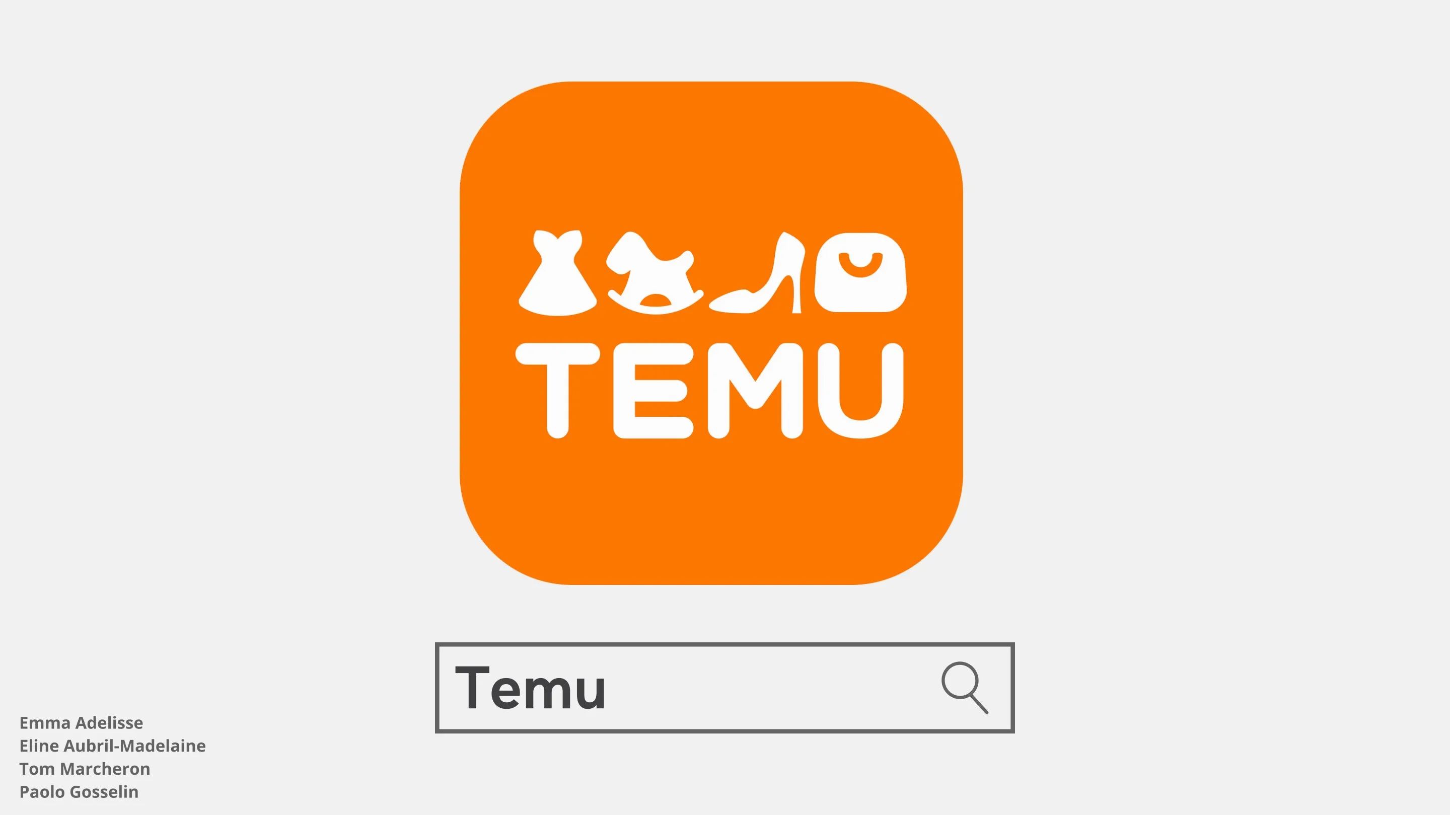 Audit Communication (TEMU)