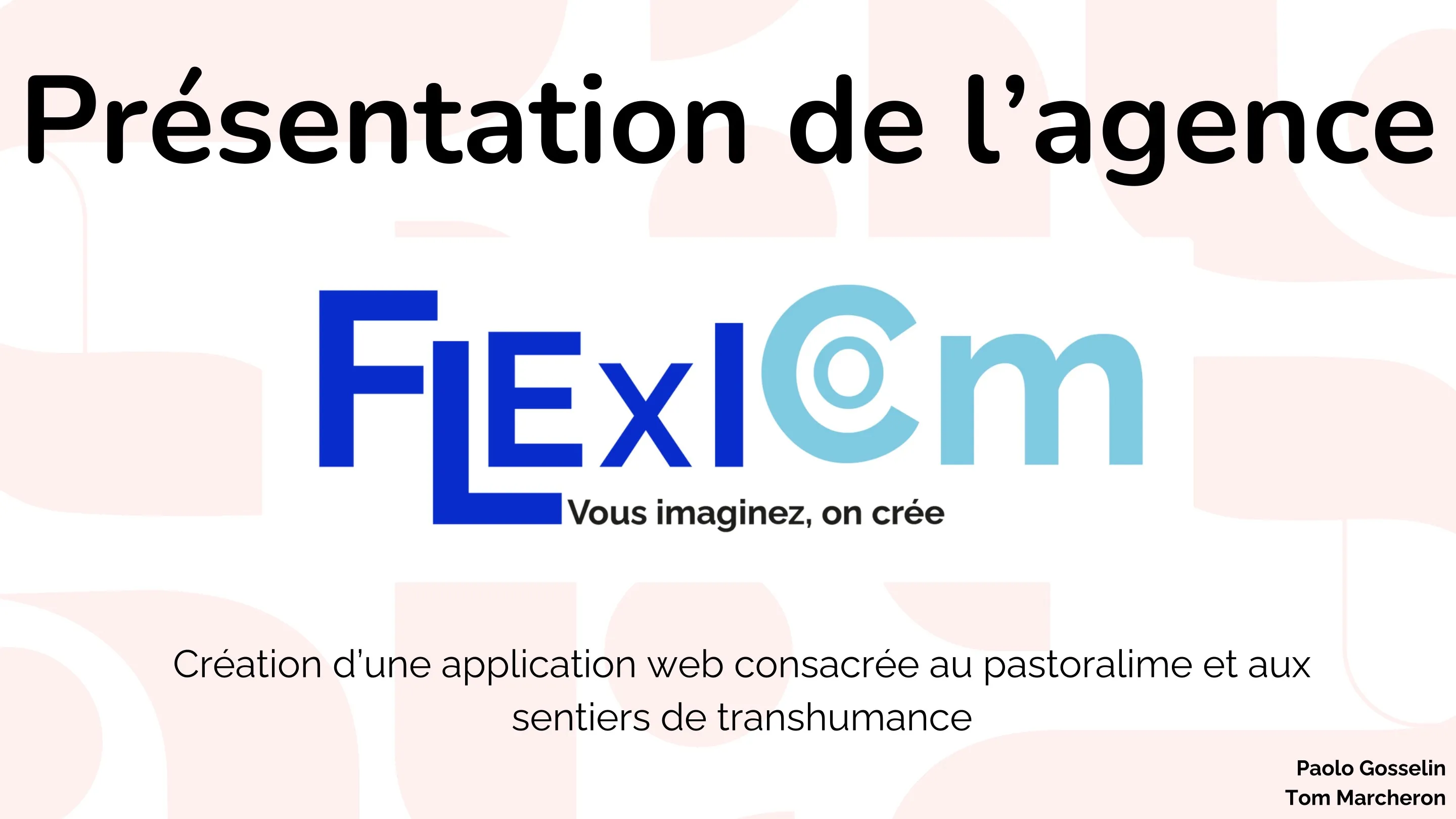Gestion de Projet (Agence Flexicom)